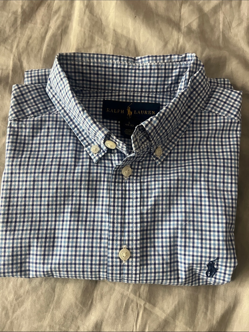 Ralph Lauren Blue and White Gingham Button-Down Shirt